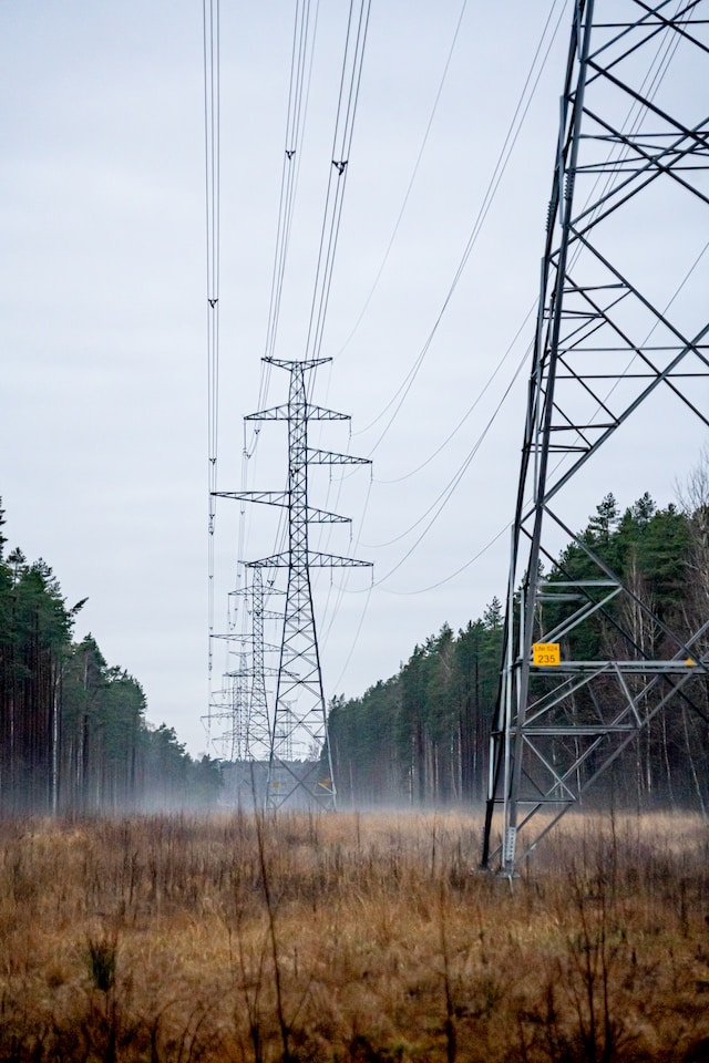 A series of electricity transmission towers in between rows of trees
