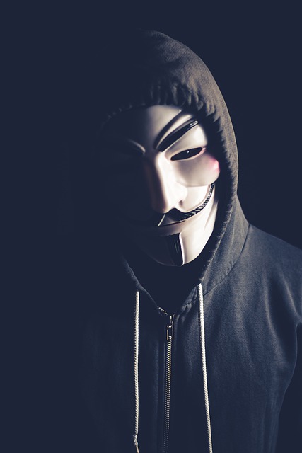 Person in a hoodie with a Guy Fawkes mask, commonly worn by Anonymous hackers