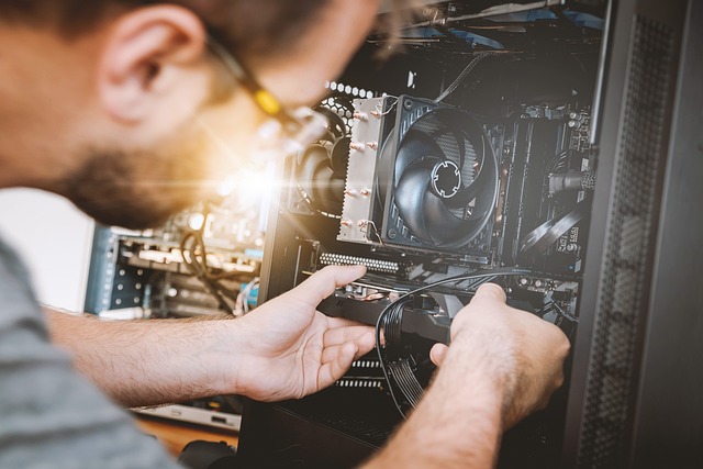 Person checking a computer hardware